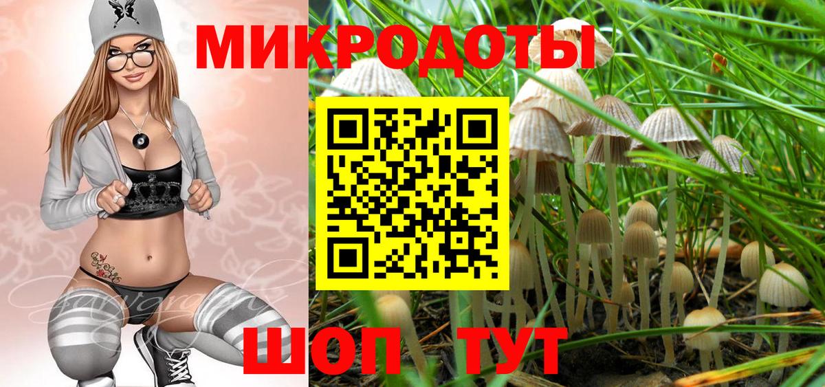 Полысаево  Галлюциногенные грибы Cubensis  Вход с VPN 