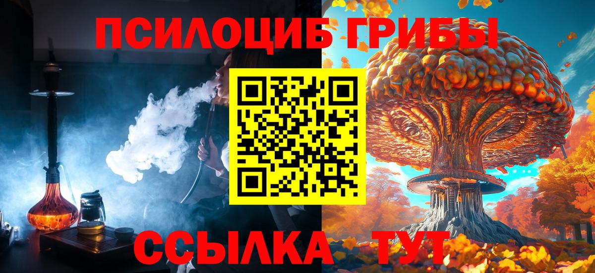 Галлюциногенные грибы Cubensis Полысаево